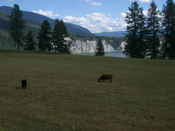 Ranches and cliffs