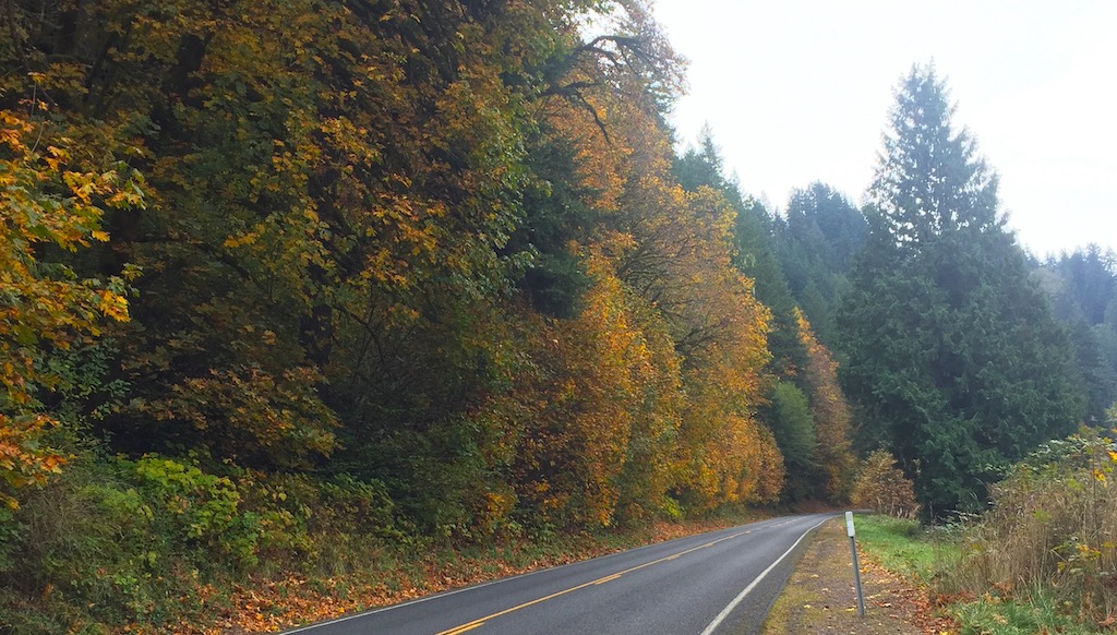 Colors on the Alsea