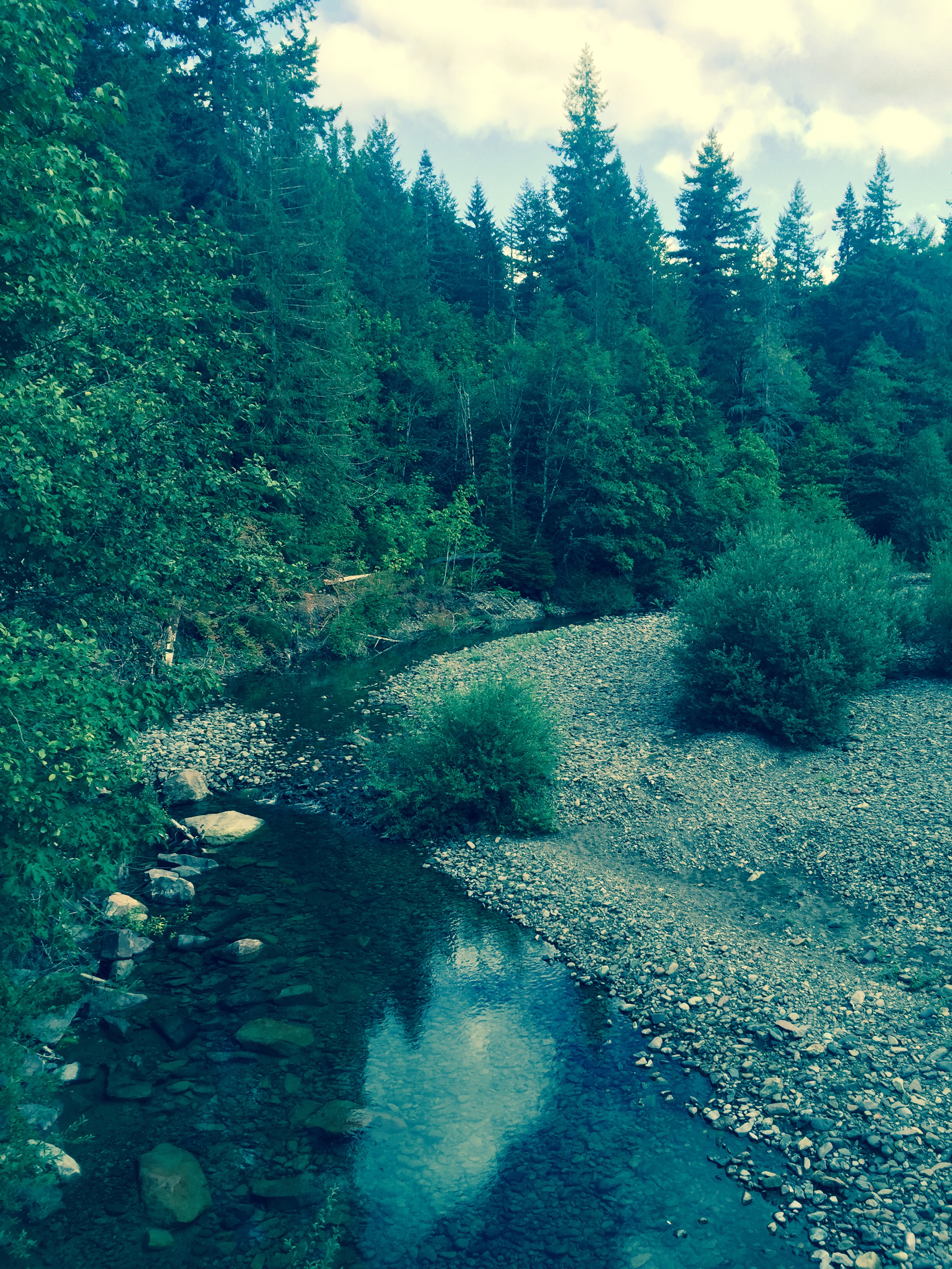 Headwaters of the South Santiam