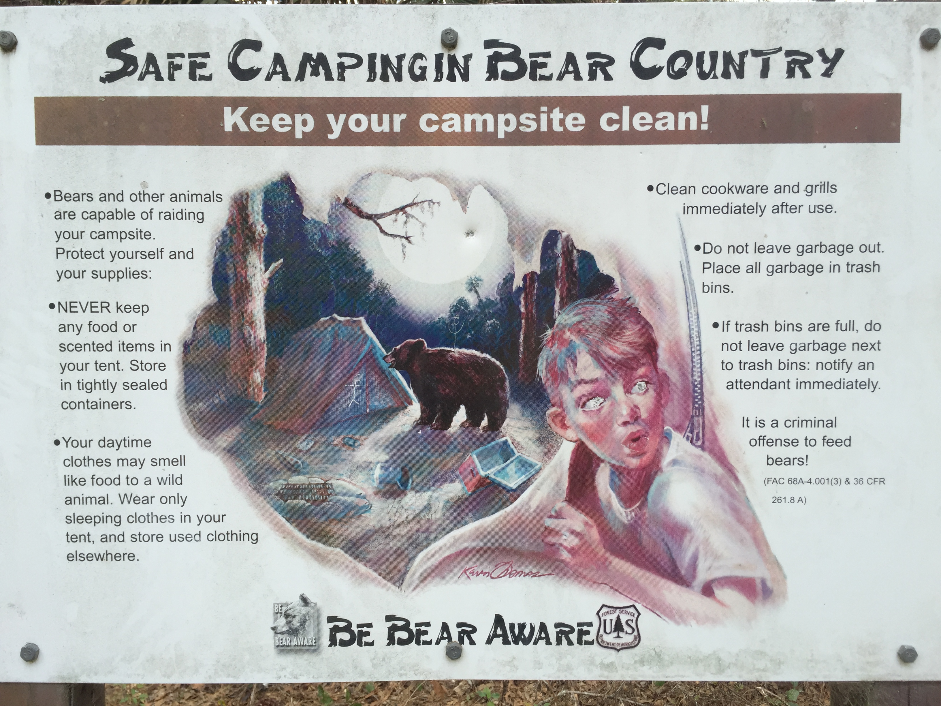 Bear aware in the Ocala National Forest.