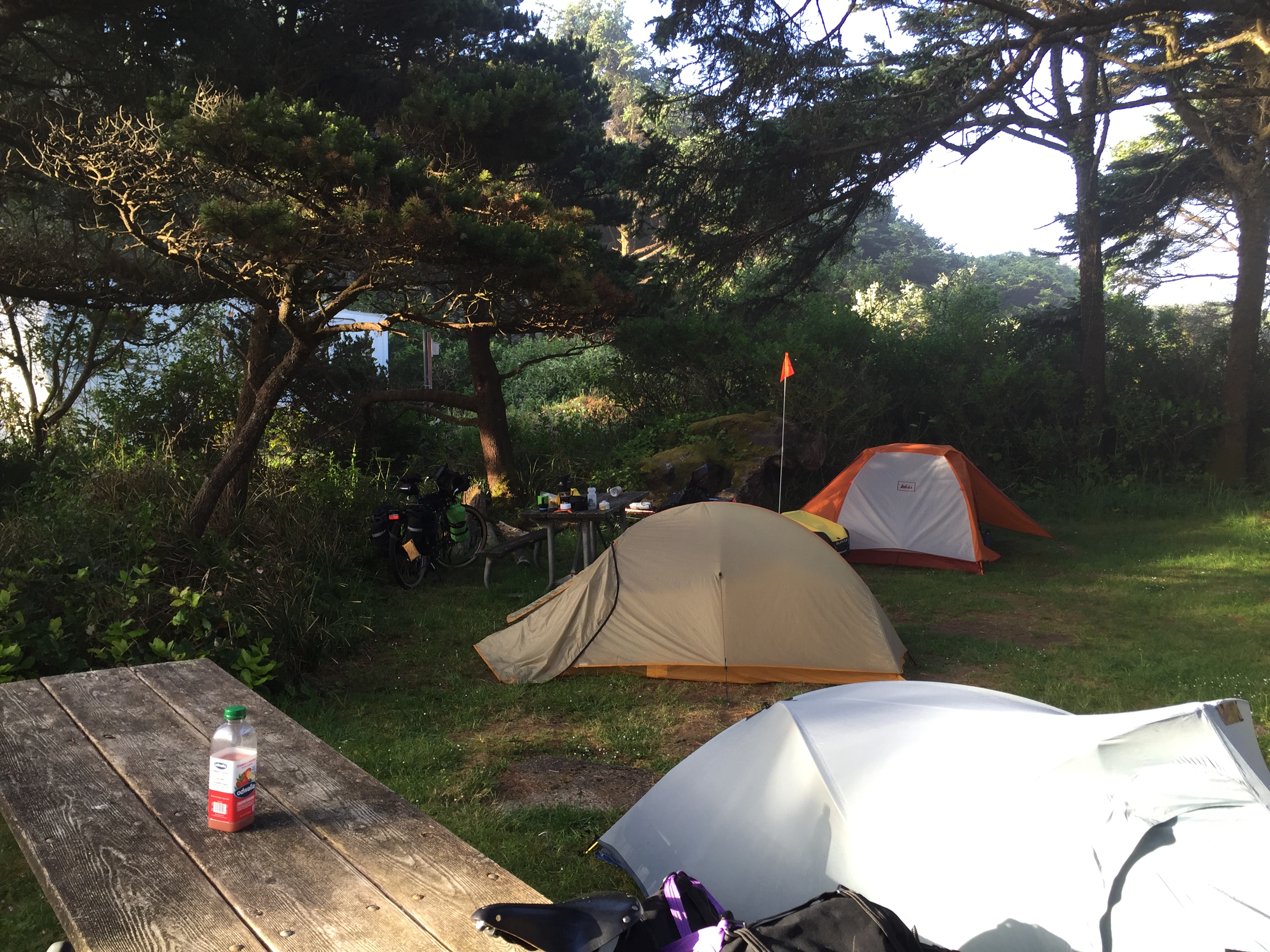 Campsite at Beachside SP