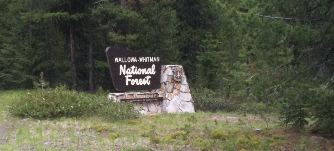 Wallowa Whitman National Forest