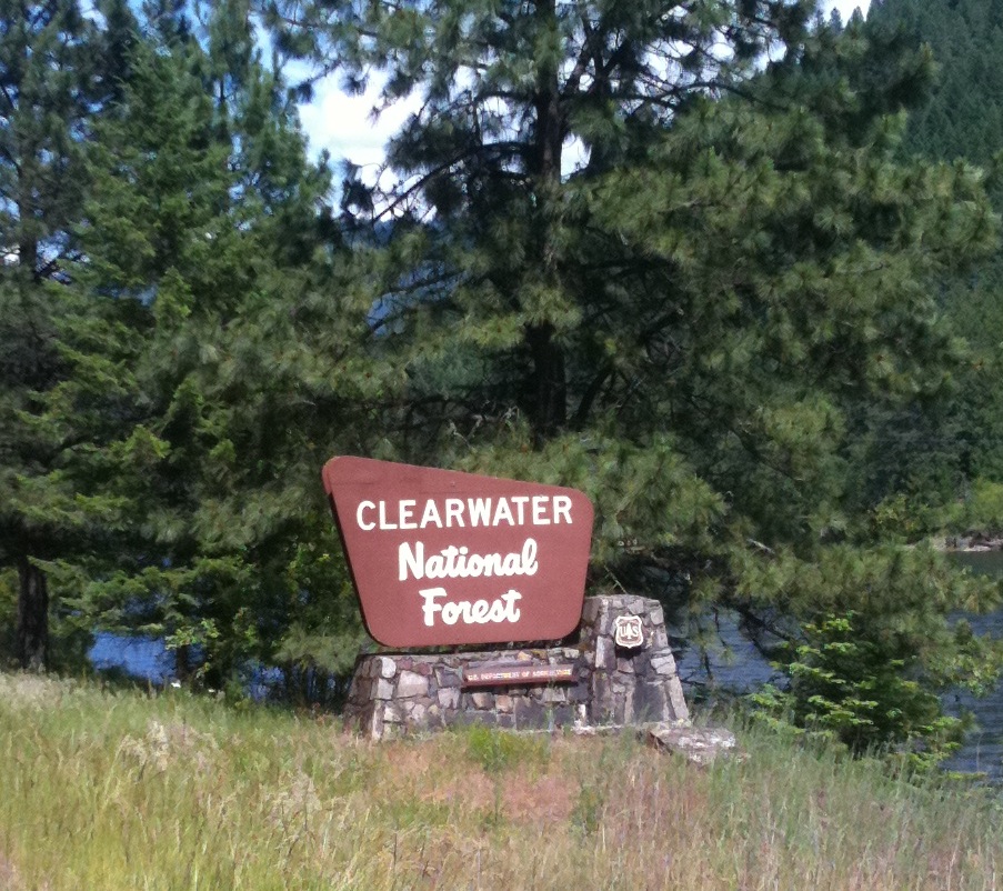 Clearwater National Forest