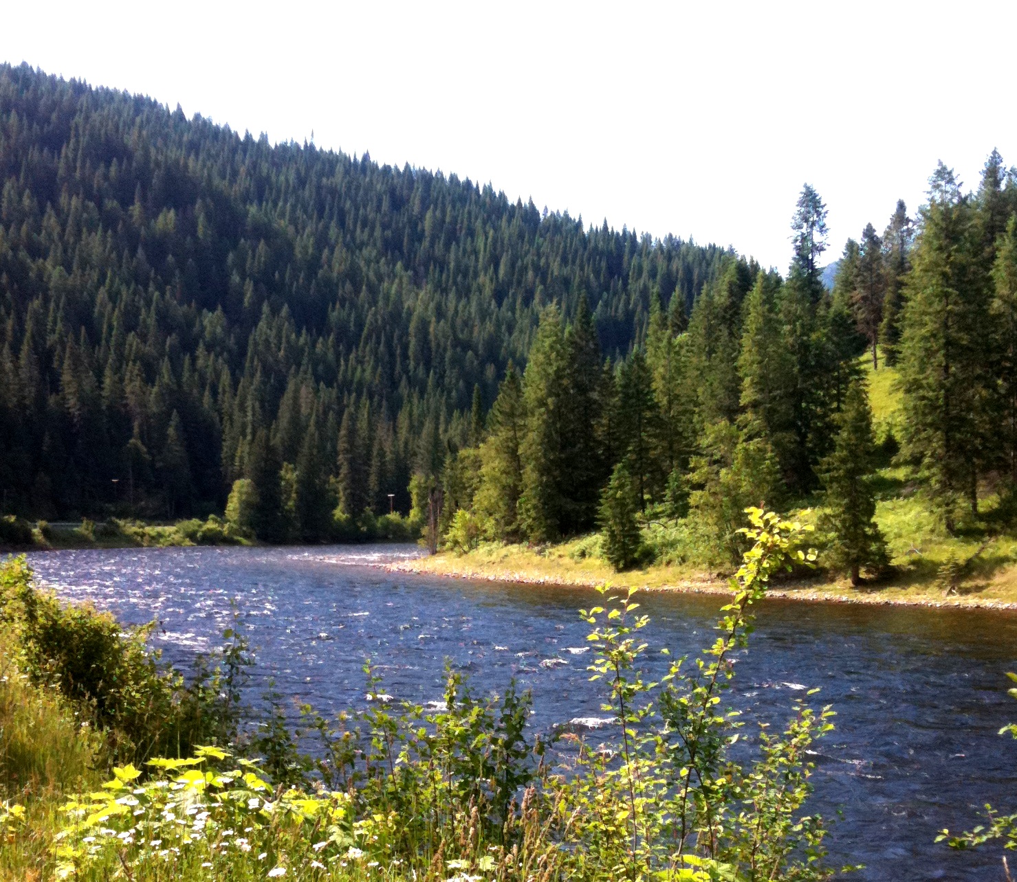 The Lochsa River