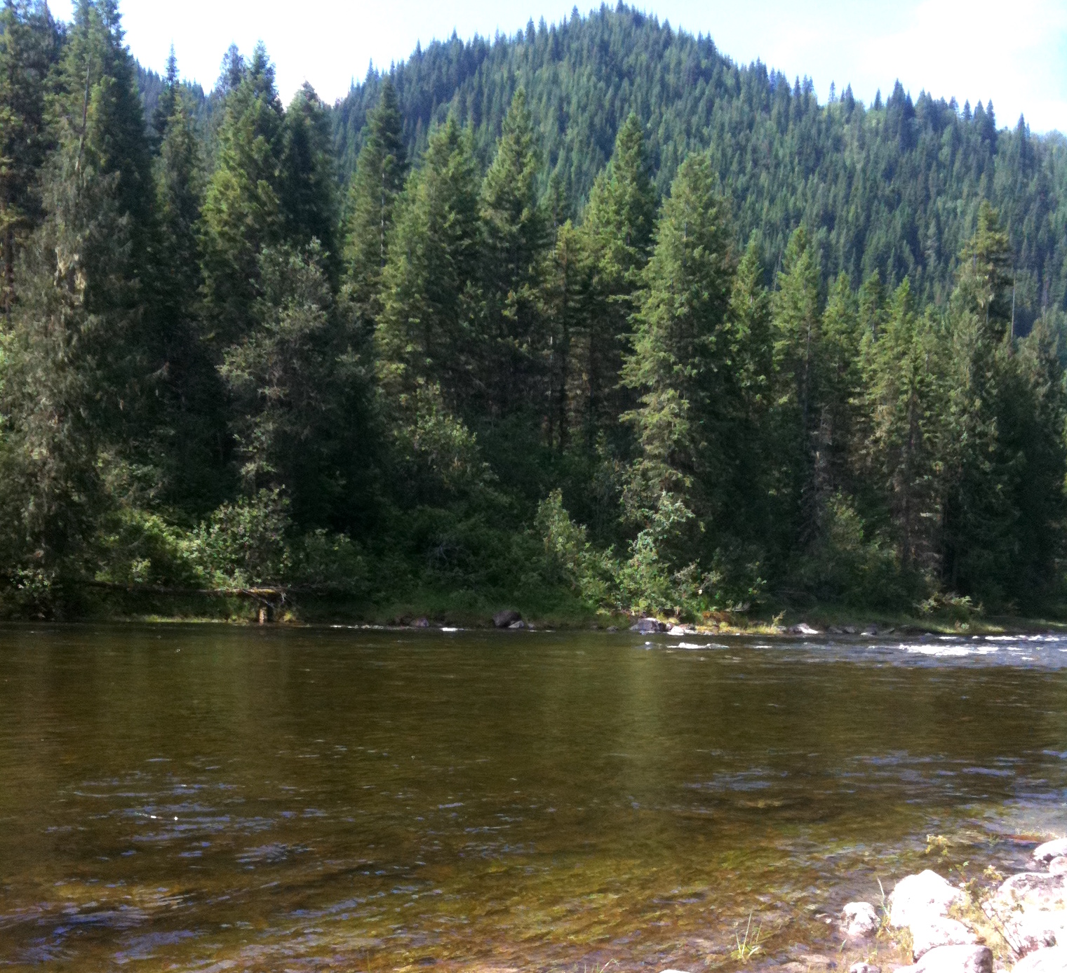 The Clearwater river