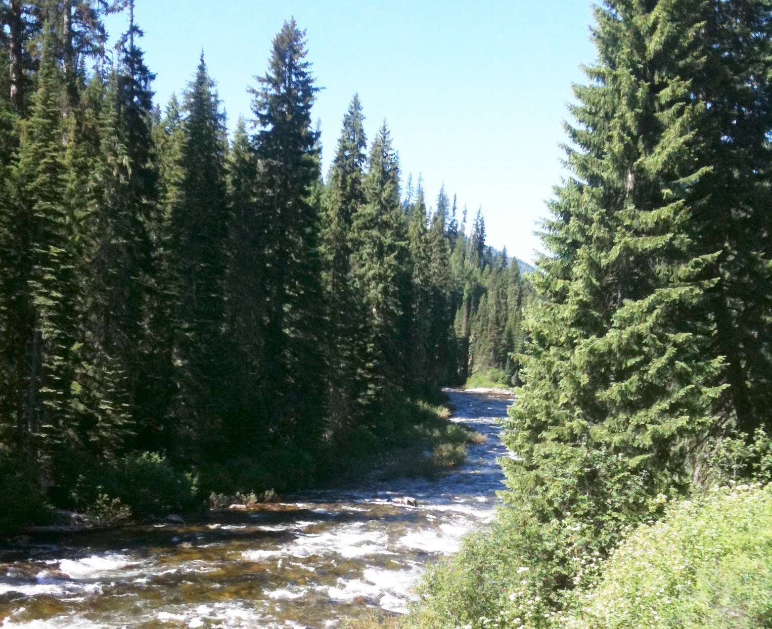 Last shot of the Lochsa River. 
