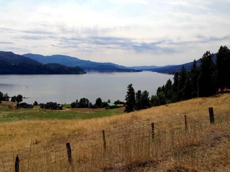 The Columbia River at Lake Roosevelt.