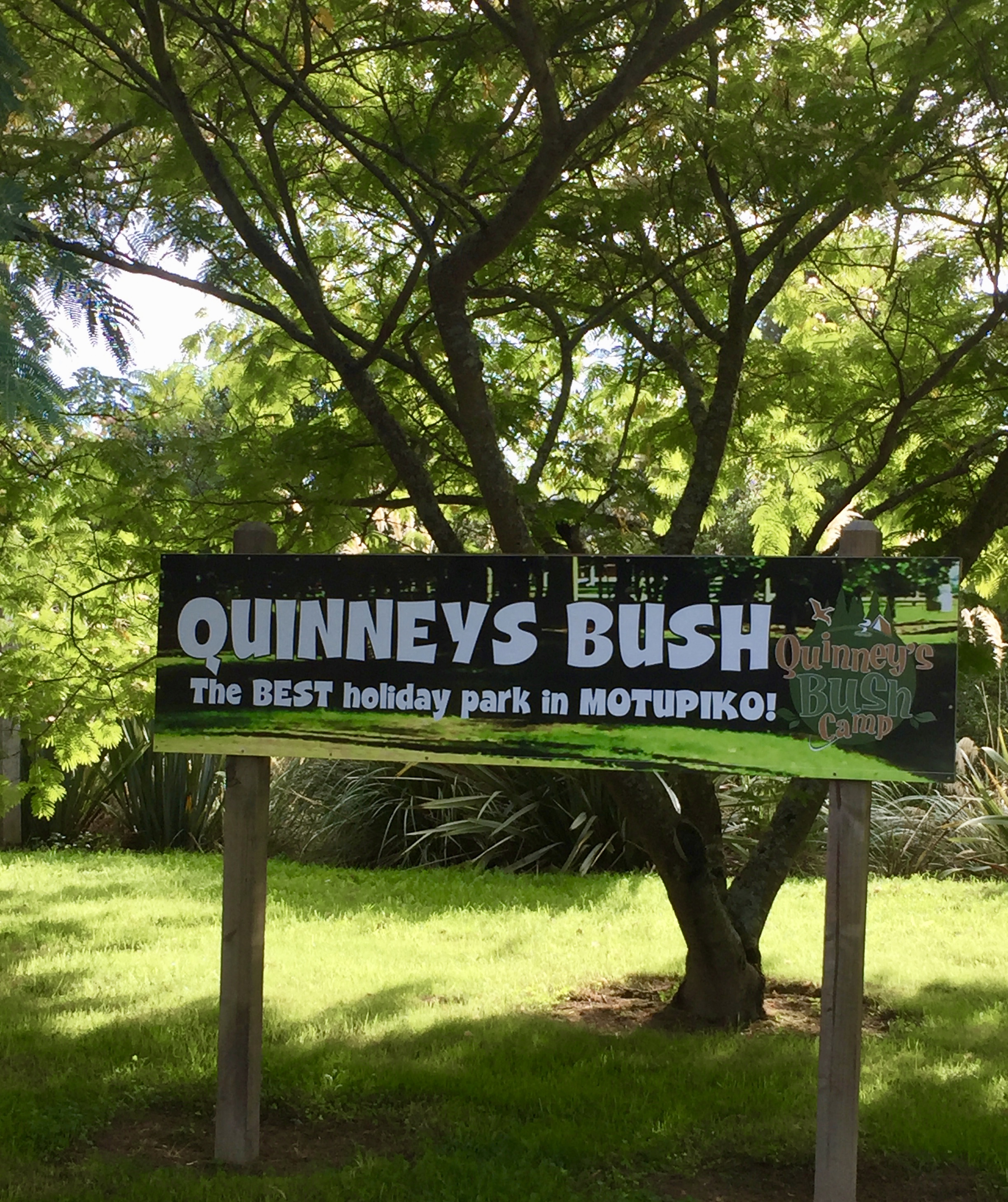 Quinney's Bush Camp