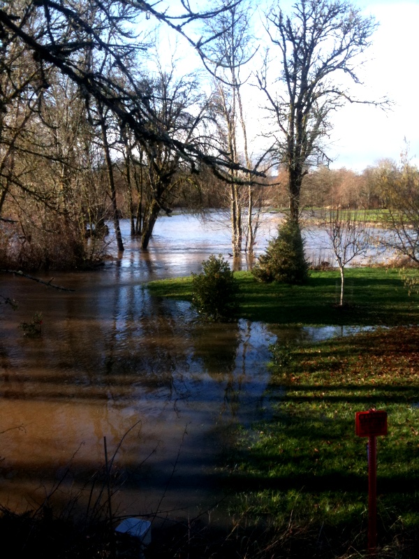 Mary's River flooding in 2011