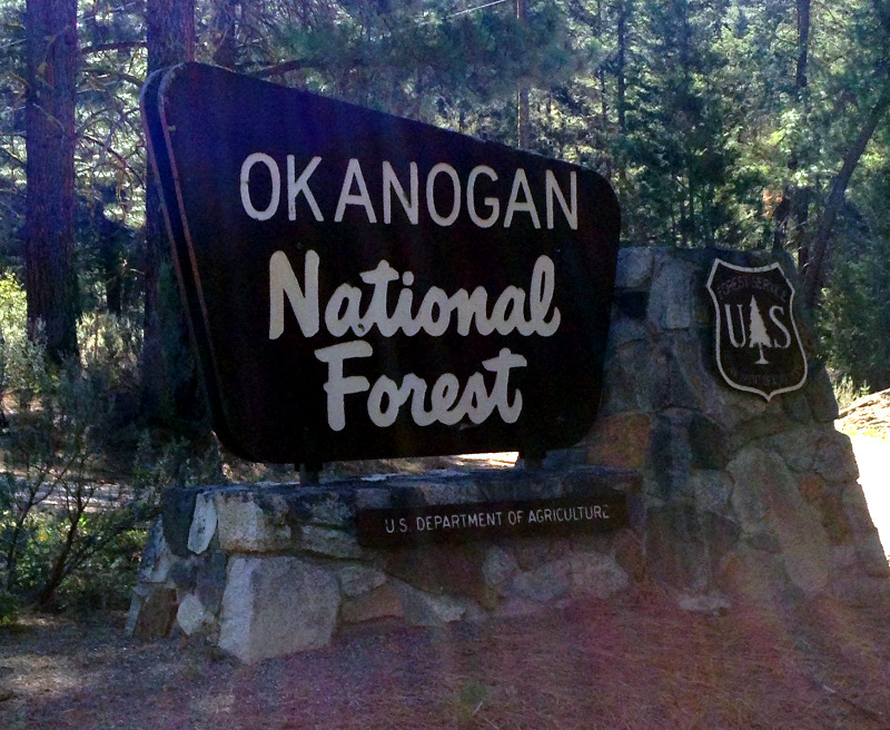Okanogan National Forest