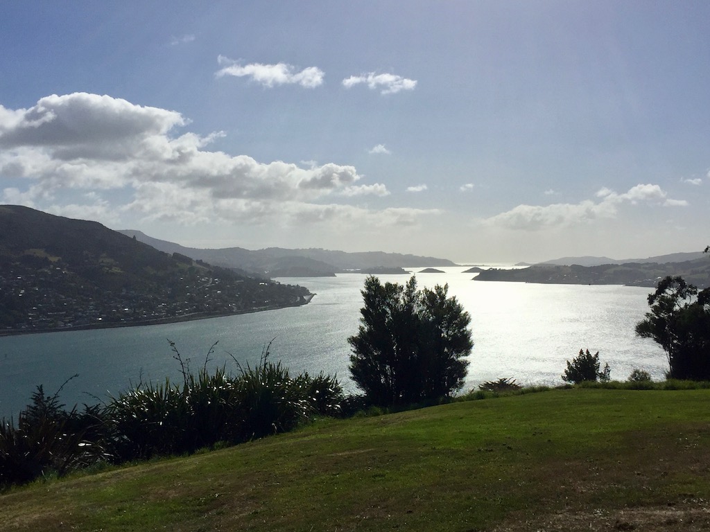 Otago Bay